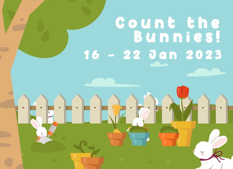 Causeway Point Instagram Contest - Count the Bunnies